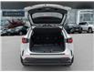 2022 Lexus NX 350h  (Stk: 15104734A) in Richmond Hill - Image 8 of 27