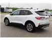 2021 Ford Escape SEL (Stk: ES2513A) in Harrow - Image 7 of 13