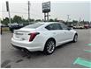 2021 Cadillac CT5 Premium Luxury (Stk: 25573A) in Uxbridge - Image 8 of 11