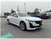 2021 Cadillac CT5 Premium Luxury (Stk: 25573A) in Uxbridge - Image 10 of 11