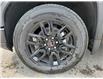 2025 GMC Sierra 1500 Elevation (Stk: G331954) in Newmarket - Image 9 of 21