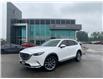 2021 Mazda CX-9 GT (Stk: CM00173A) in Chatham - Image 1 of 28
