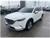 2021 Mazda CX-9 GT (Stk: CM00173A) in Chatham - Image 11 of 28