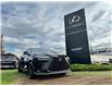 2023 Lexus NX 350 Base (Stk: 250985A) in Calgary - Image 7 of 23