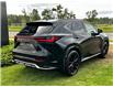2023 Lexus NX 350 Base (Stk: 250985A) in Calgary - Image 3 of 23