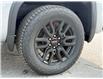 2025 GMC Sierra 1500 Elevation (Stk: 49584) in Carleton Place - Image 10 of 23