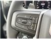 2025 GMC Sierra 1500 Elevation (Stk: 49584) in Carleton Place - Image 19 of 23