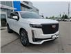 2021 Cadillac Escalade Sport Platinum (Stk: U113277A) in Newmarket - Image 3 of 30