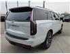 2021 Cadillac Escalade Sport Platinum (Stk: U113277A) in Newmarket - Image 5 of 30