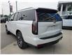 2021 Cadillac Escalade Sport Platinum (Stk: U113277A) in Newmarket - Image 7 of 30
