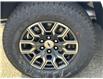 2025 Chevrolet Colorado Z71 (Stk: 25T106) in Port Alberni - Image 12 of 24