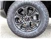 2025 GMC Canyon Elevation (Stk: SG34209) in St. Marys - Image 6 of 24