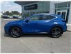 2024 Lexus NX 350 Base (Stk: 227416) in Regina - Image 2 of 22
