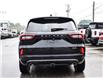 2024 Ford Escape ST-Line Elite (Stk: VF00347A) in Chatham - Image 5 of 32