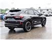 2024 Ford Escape ST-Line Elite (Stk: VF00347A) in Chatham - Image 6 of 32
