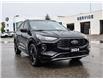 2024 Ford Escape ST-Line Elite (Stk: VF00347A) in Chatham - Image 7 of 32