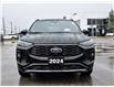2024 Ford Escape ST-Line Elite (Stk: VF00347A) in Chatham - Image 8 of 32
