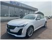 2022 Cadillac CT5 Premium Luxury (Stk: PL3116) in Pembroke - Image 1 of 15