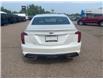 2022 Cadillac CT5 Premium Luxury (Stk: PL3116) in Pembroke - Image 8 of 15