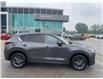 2020 Mazda CX-5 GS (Stk: CM00202A) in Chatham - Image 4 of 24