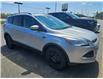 2016 Ford Escape Titanium (Stk: 25213A) in Terrace Bay - Image 1 of 3