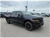 2025 Ford F-150 XLT (Stk: 5T045) in Williams Lake - Image 7 of 13