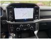 2025 Ford F-150 XLT (Stk: 5T045) in Williams Lake - Image 12 of 13