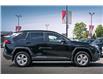2024 Toyota RAV4 XLE (Stk: LC2602) in Surrey - Image 9 of 18