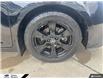 2020 Toyota Sienna SE 8-Passenger (Stk: P0561) in Tecumseh - Image 7 of 26