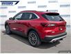 2025 Ford Escape PHEV (Stk: 27290) in Dartmouth - Image 4 of 24
