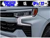 2025 Chevrolet Silverado 1500 RST (Stk: 17824) in Casselman - Image 20 of 24