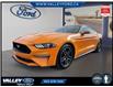 2018 Ford Mustang  (Stk: 25175A) in Kentville - Image 1 of 18