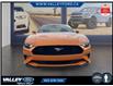 2018 Ford Mustang  (Stk: 25175A) in Kentville - Image 2 of 18