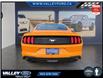 2018 Ford Mustang  (Stk: 25175A) in Kentville - Image 3 of 18