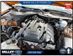 2018 Ford Mustang  (Stk: 25175A) in Kentville - Image 8 of 18
