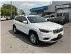 2019 Jeep Cherokee Limited (Stk: 250502) in Kingston - Image 1 of 33