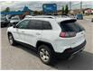 2019 Jeep Cherokee Limited (Stk: 250502) in Kingston - Image 5 of 33