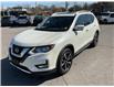 2018 Nissan Rogue SL (Stk: 250464) in Ottawa - Image 6 of 25