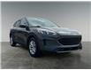 2020 Ford Escape SE (Stk: P40127C) in Saskatoon - Image 7 of 15