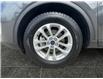 2020 Ford Escape SE (Stk: P40127C) in Saskatoon - Image 15 of 15