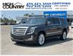 2017 Cadillac Escalade ESV Platinum (Stk: CS247A) in High River - Image 1 of 21