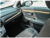 2019 Honda CR-V EX (Stk: 377331) in Ottawa - Image 15 of 28