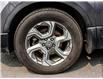 2019 Honda CR-V EX (Stk: 377331) in Ottawa - Image 22 of 28