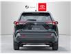 2025 Toyota RAV4 Hybrid XLE (Stk: 8243) in Aurora - Image 24 of 25