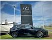 2025 Lexus UX 300h Base (Stk: 251042A) in Calgary - Image 2 of 24