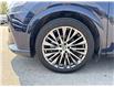 2023 Lexus RX 350h Base (Stk: 251056A) in Port Hope - Image 5 of 17