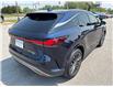 2023 Lexus RX 350h Base (Stk: 251056A) in Port Hope - Image 15 of 17