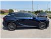 2023 Lexus RX 350h Base (Stk: 251056A) in Port Hope - Image 16 of 17