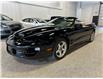 2001 Pontiac Firebird Trans Am (Stk: P13800) in Calgary - Image 1 of 19