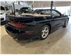 2001 Pontiac Firebird Trans Am (Stk: P13800) in Calgary - Image 5 of 19
